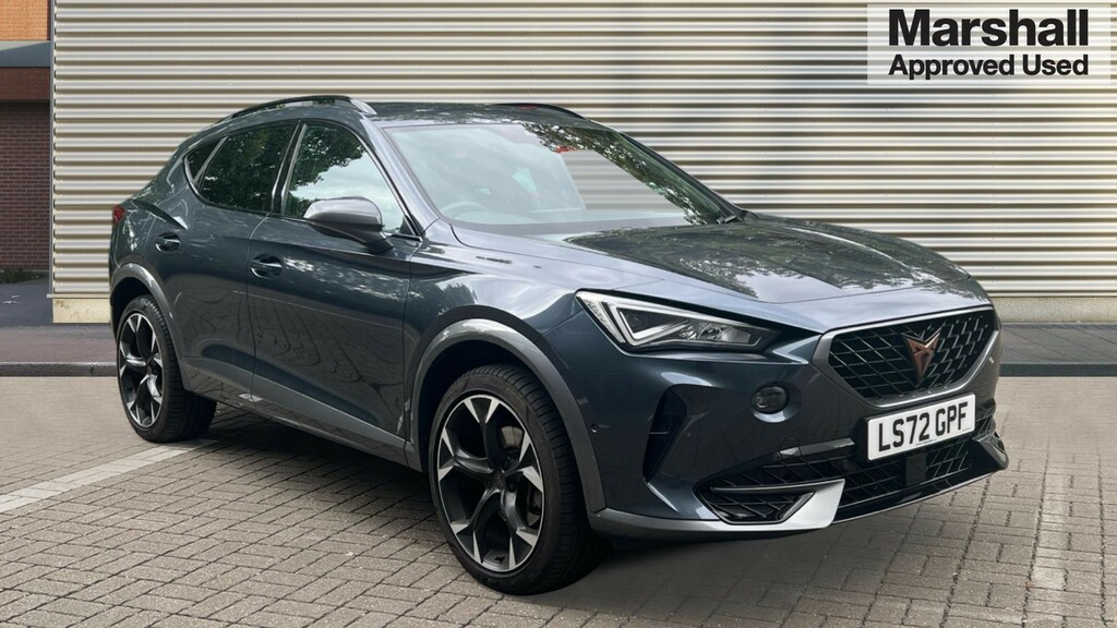 Cupra Formentor Formentor 2.0 Tsi 190 V2 Dsg 4Drive LS72GPF Grey