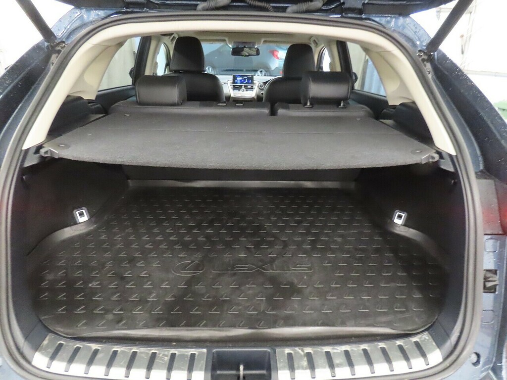 Lexus NX 300H Luxury Blue #6