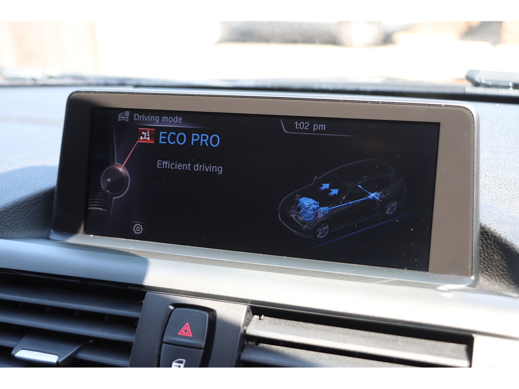 BMW 1 Series 116I Sport Blue #5