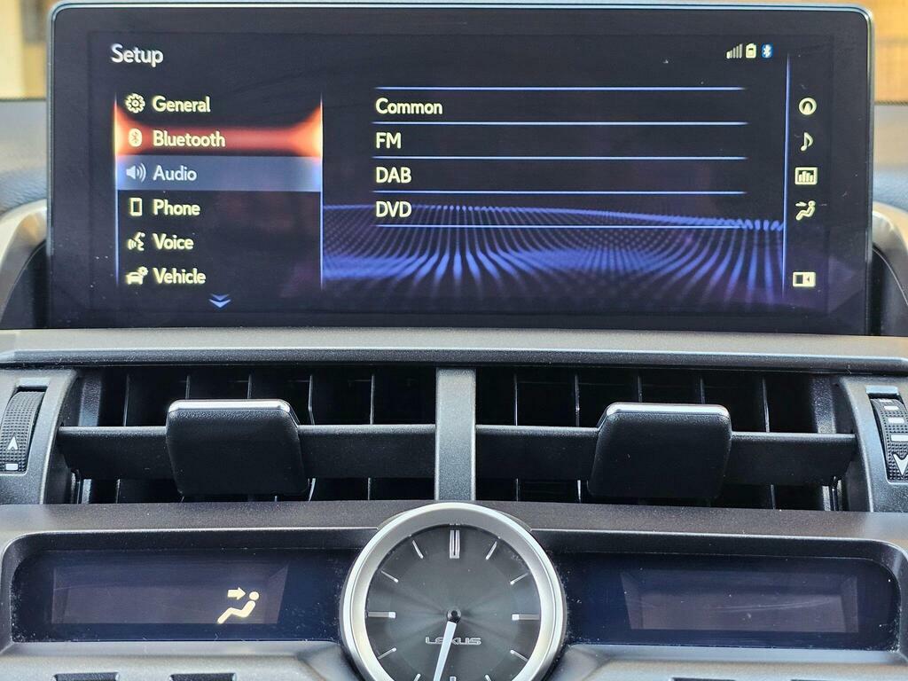 Lexus NX 300H 2.5 Sport Cvt Premium Nav Black #52