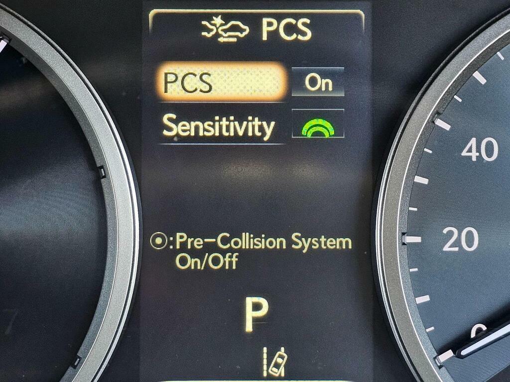 Lexus NX 300H 2.5 Sport Cvt Premium Nav Black #28