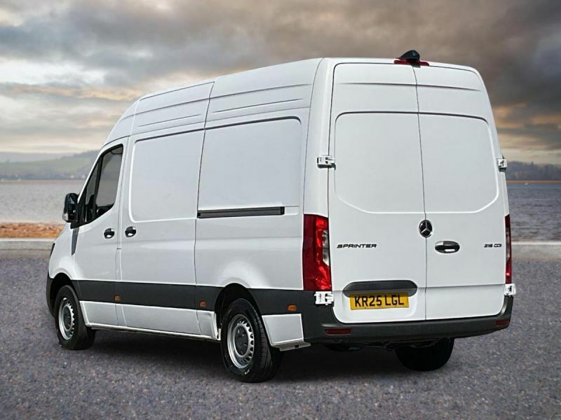 Mercedes-Benz Sprinter 2.0 315 Cdi Pro G-tronic Rwd L2 H2 Euro 6 S S White #2