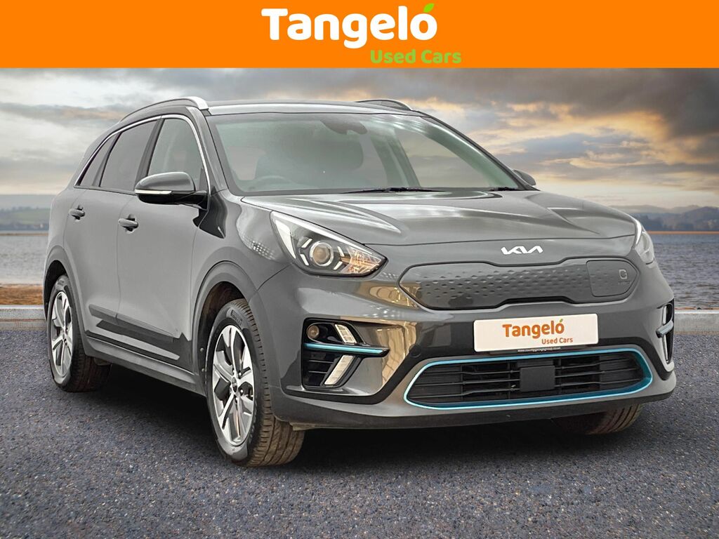 Kia e-Niro 64Kwh 2 Grey