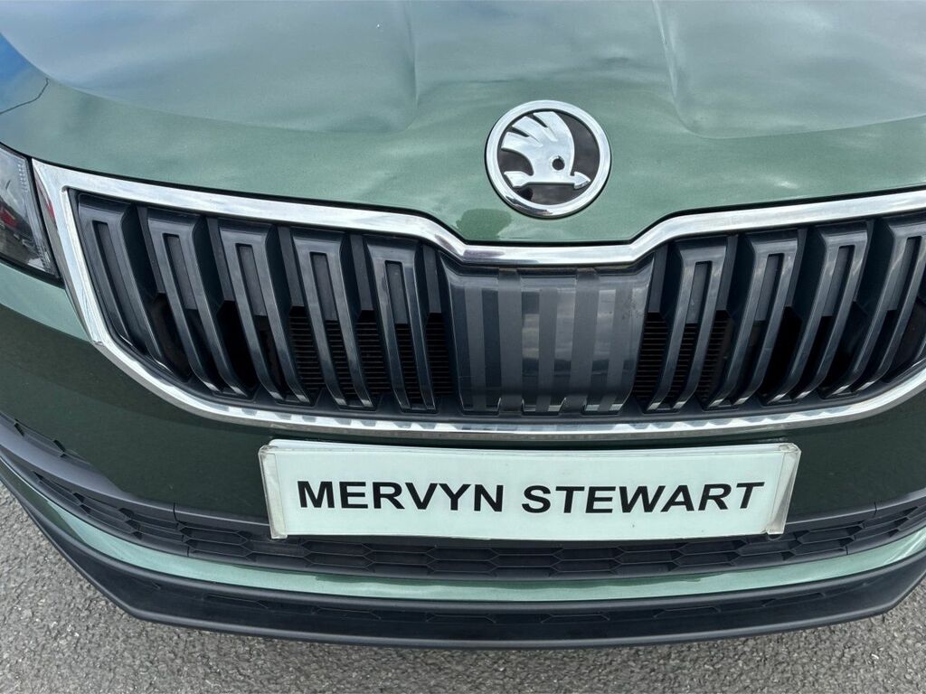 Skoda Karoq Se Technology Grey #14