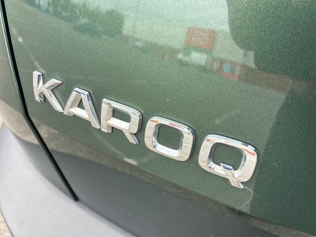 Skoda Karoq Se Technology Grey #13
