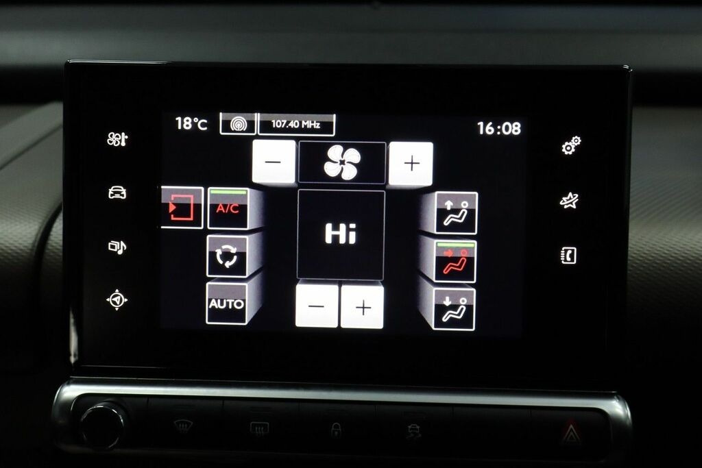 Citroen C4 Cactus Hatchback Grey #28