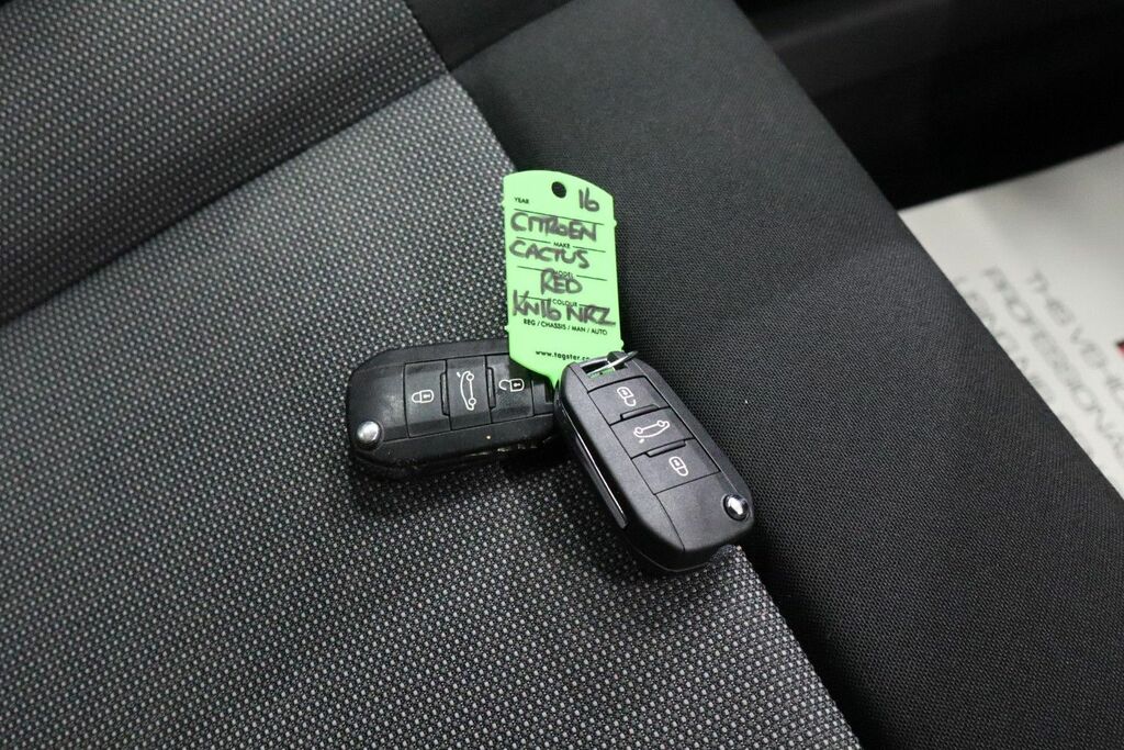 Citroen C4 Cactus Hatchback Grey #24