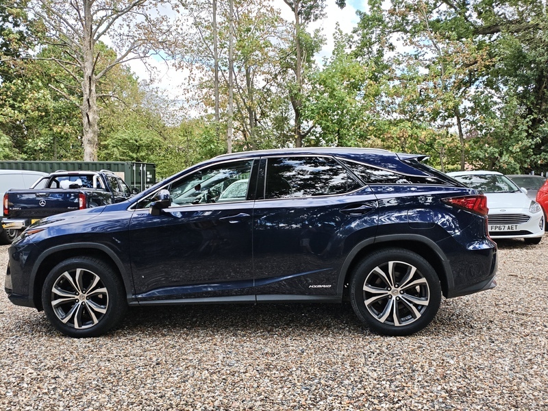 Lexus RX Luxury Blue #6