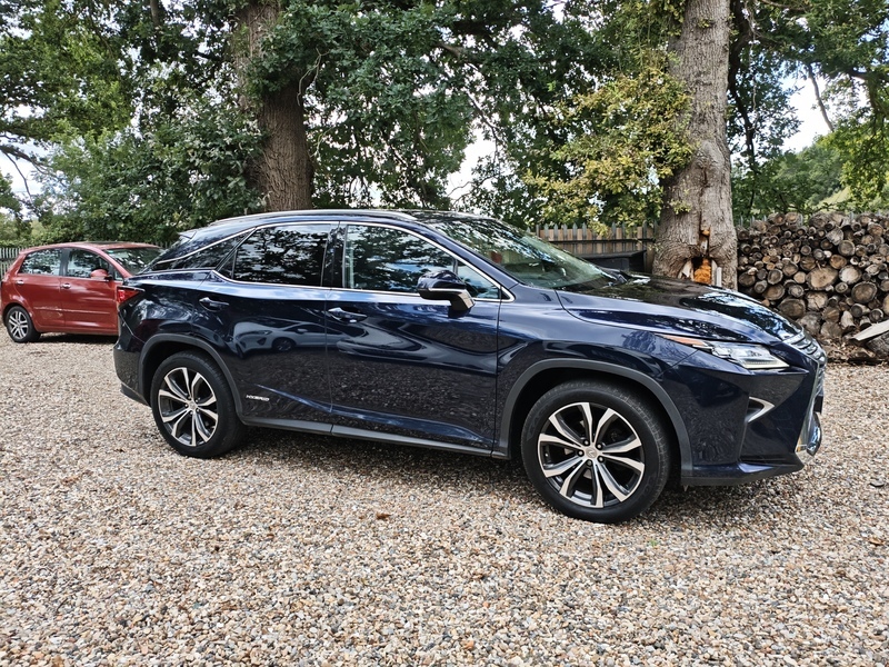 Lexus RX Luxury Blue #5