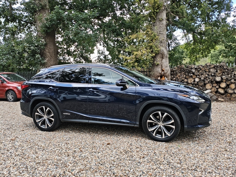 Lexus RX Luxury Blue #4