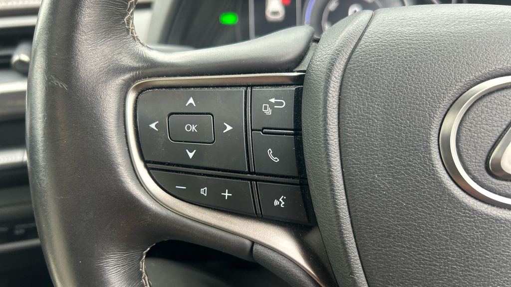 Lexus UX 2.0 250H E-cvt E-four Euro 6 Ss Grey #29