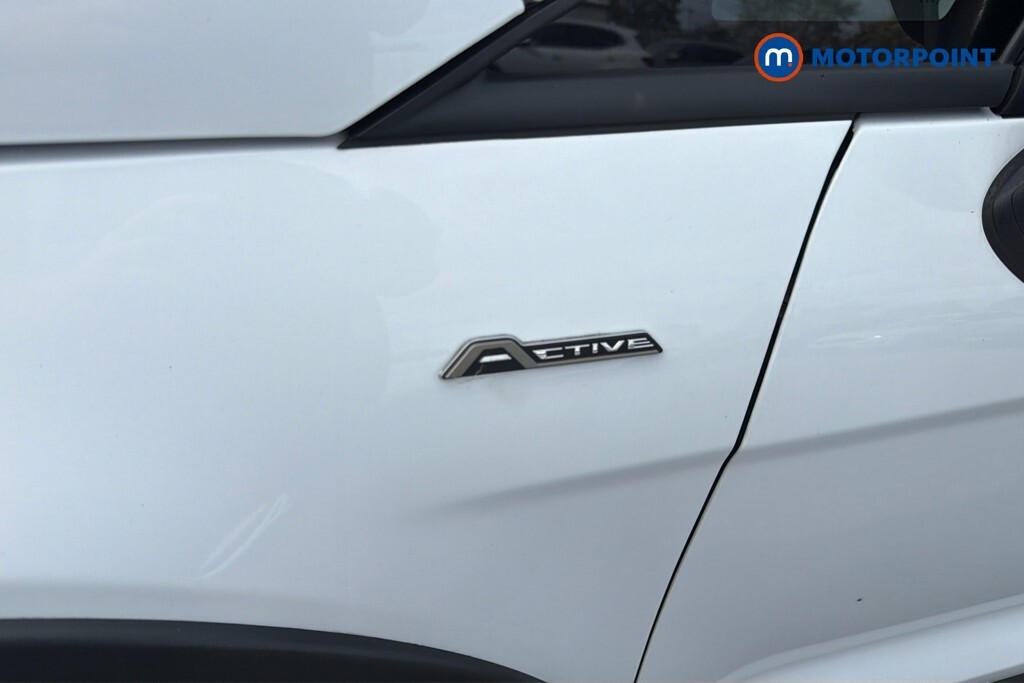 Ford Ecosport 1.0 Ecoboost 125 Active Blue #36