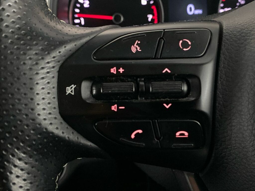 Kia Stonic First Edition Grey #19