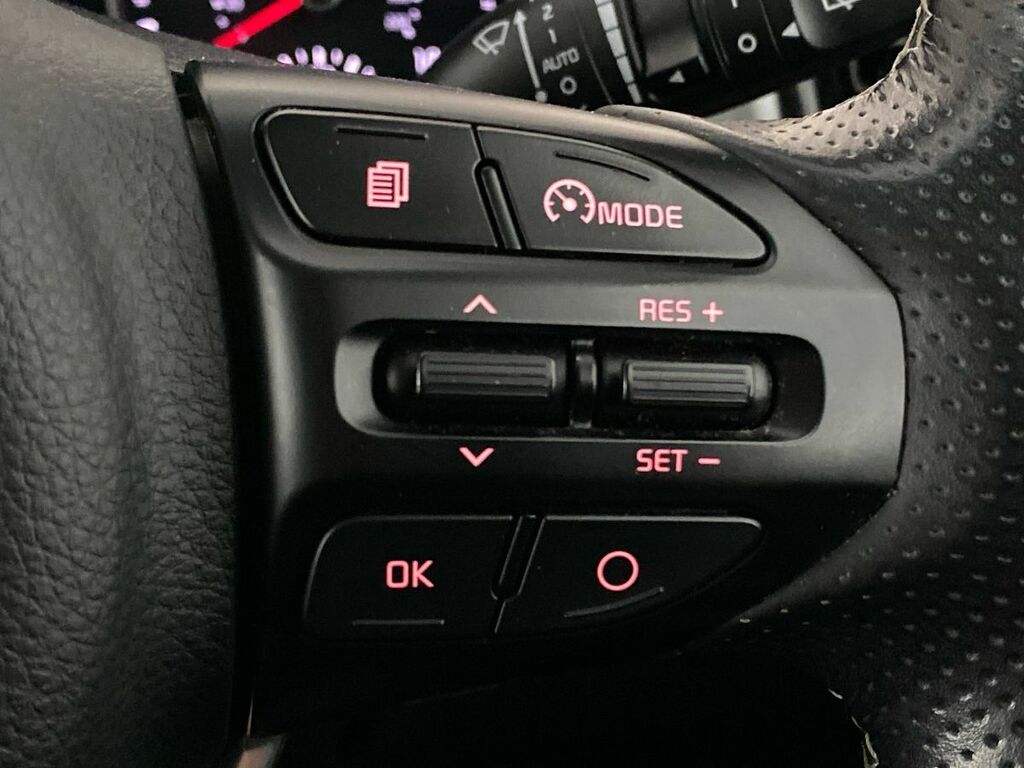 Kia Stonic First Edition Grey #20