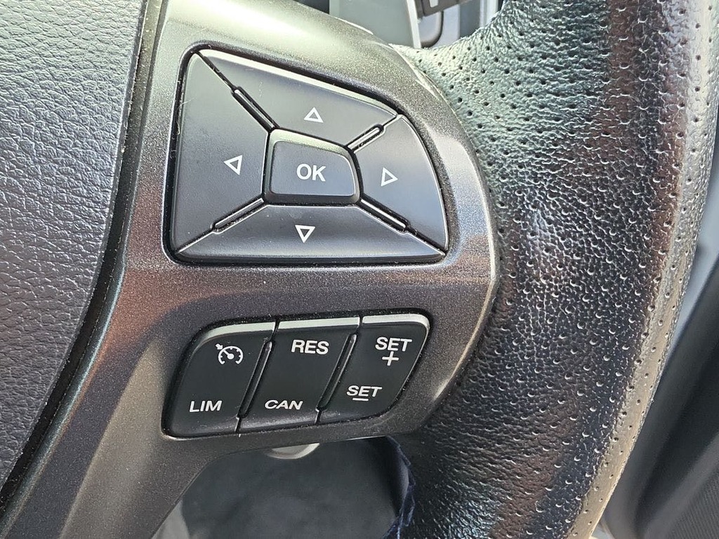 Ford Ranger 2.0 Ecoblue Wildtrak Pickup Grey #22