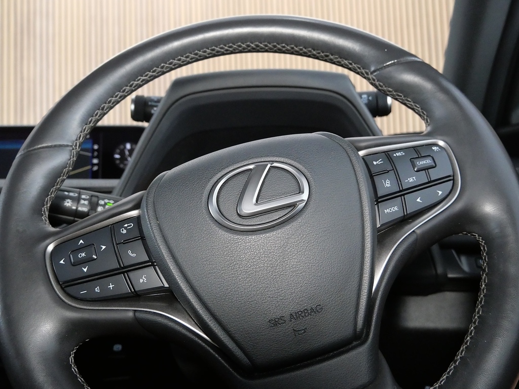 Lexus UX 2.0 Takumi E-cvt Euro 6 Ss Grey #31