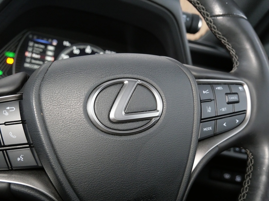 Lexus UX 2.0 Takumi E-cvt Euro 6 Ss Grey #32