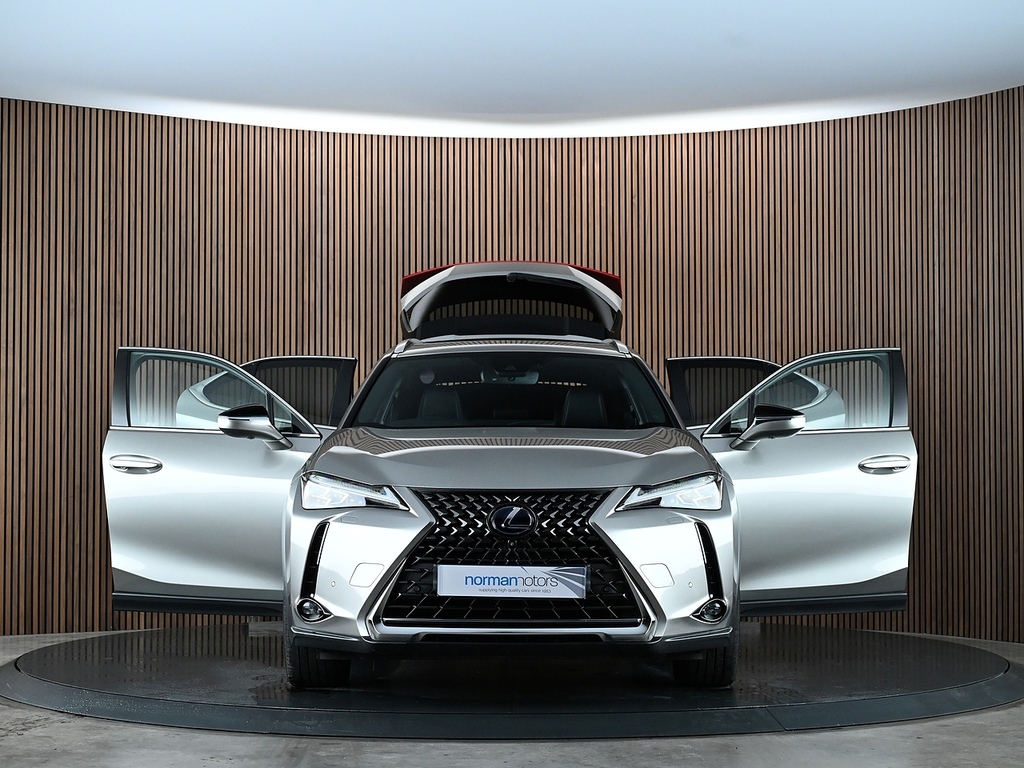 Lexus UX 2.0 Takumi E-cvt Euro 6 Ss Grey #13