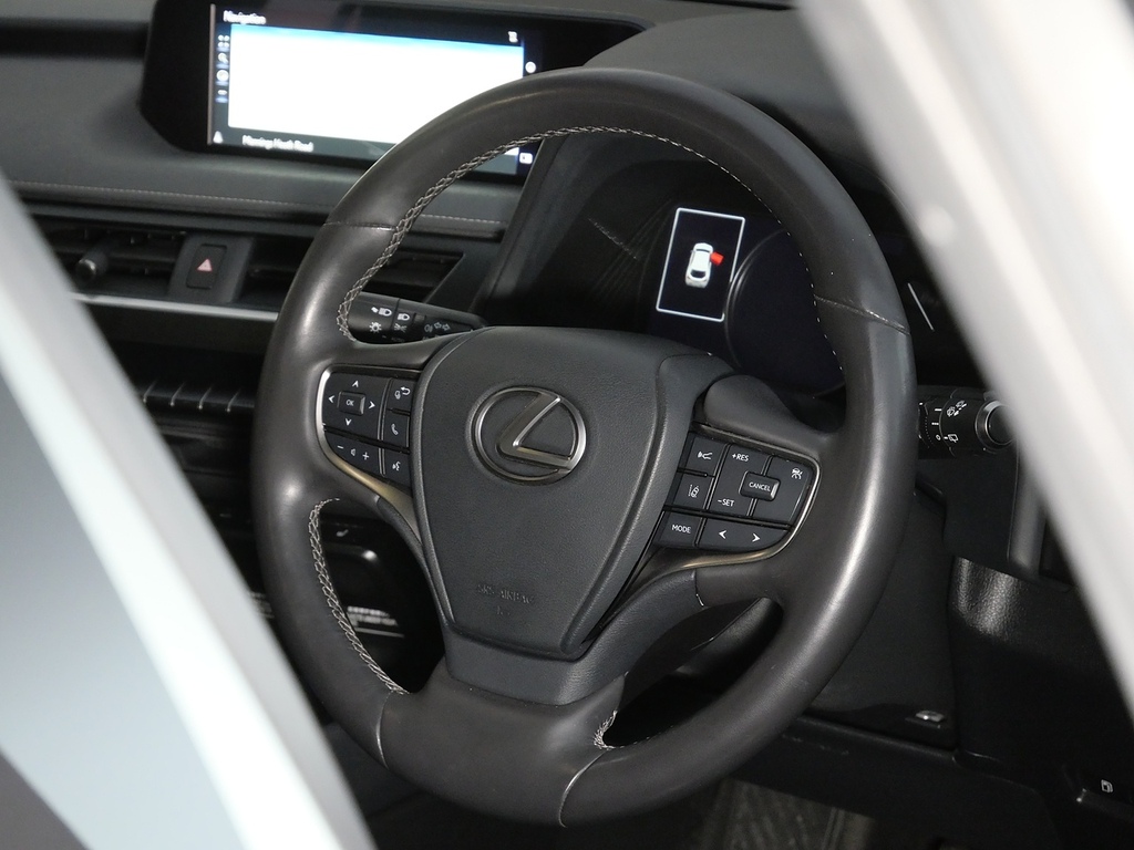 Lexus UX 2.0 Takumi E-cvt Euro 6 Ss Grey #21
