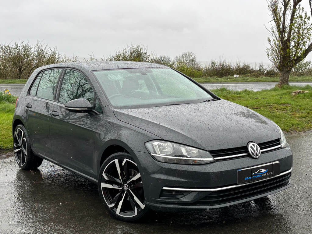 Volkswagen Golf 1.6 Tdi Se Nav Grey #2