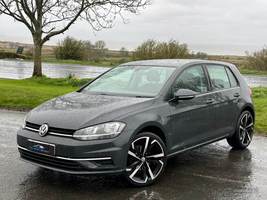 Volkswagen Golf 1.6 Tdi Se Nav Grey