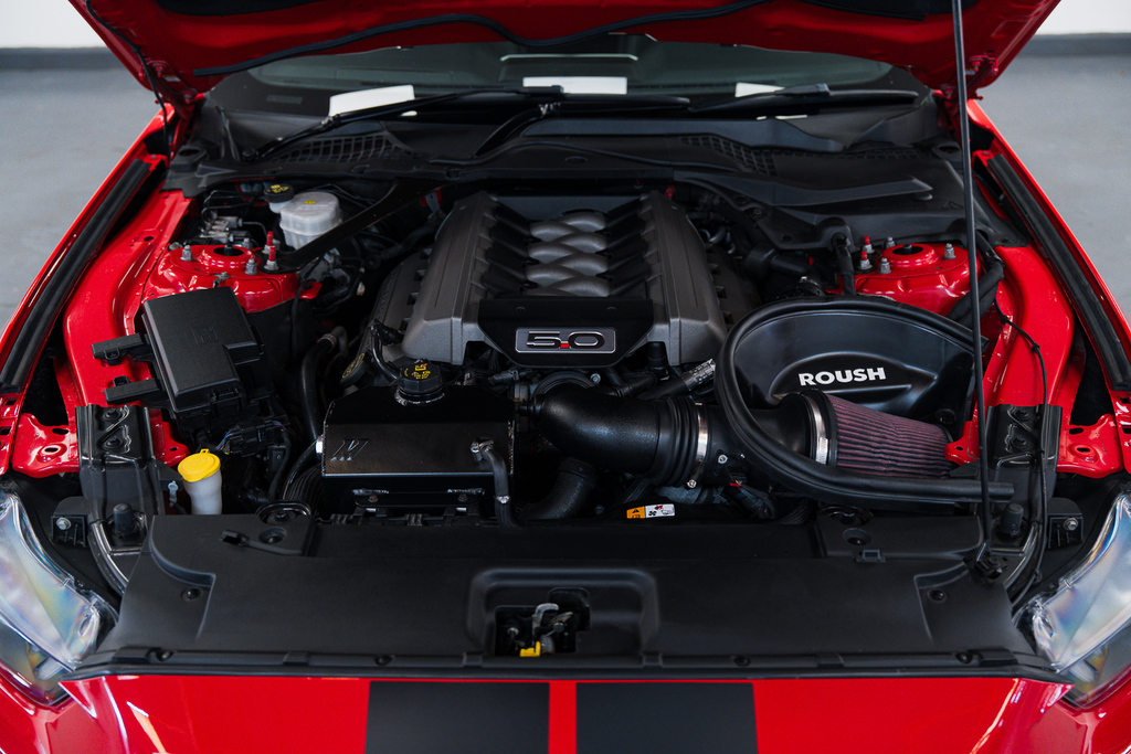 Ford Mustang Petrol Red #3