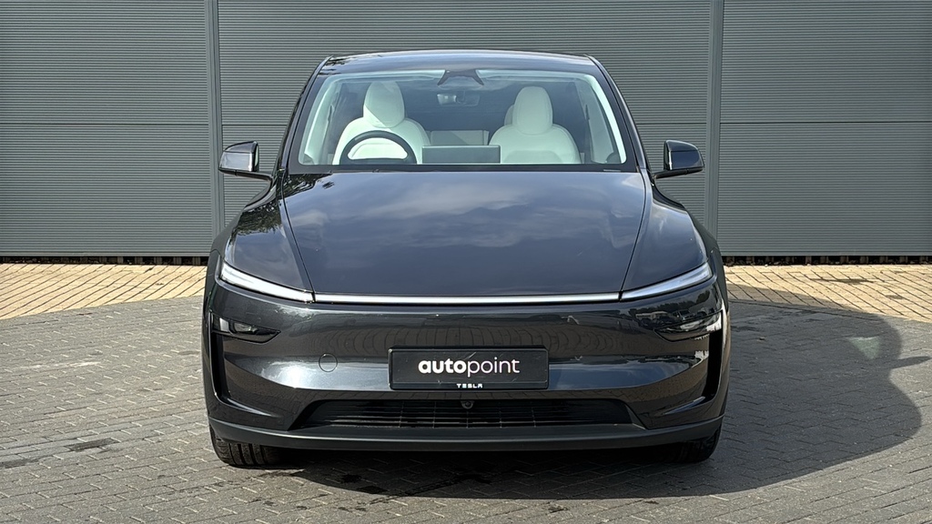 Tesla Model Y Rwd Auto Grey #7