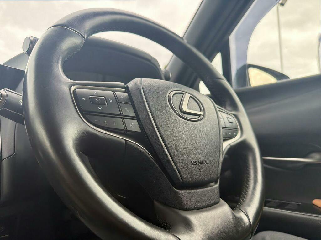 Lexus UX 300E 72.8Kwh Takumi Grey #17