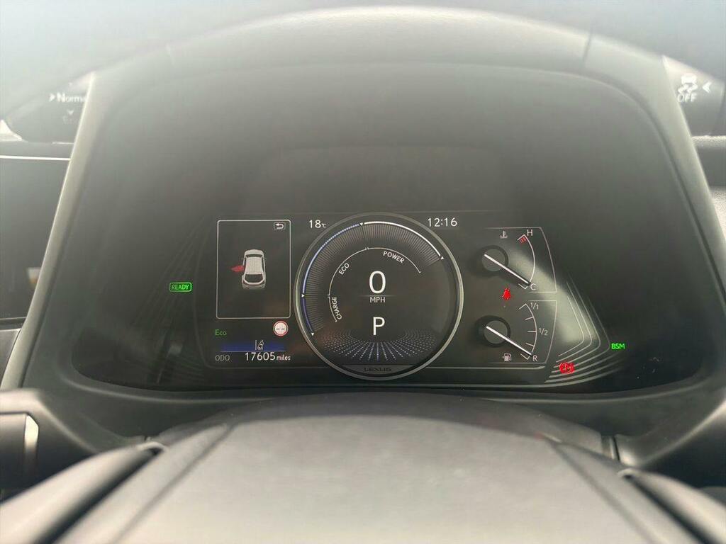 Lexus UX 300E 72.8Kwh Takumi Grey #18