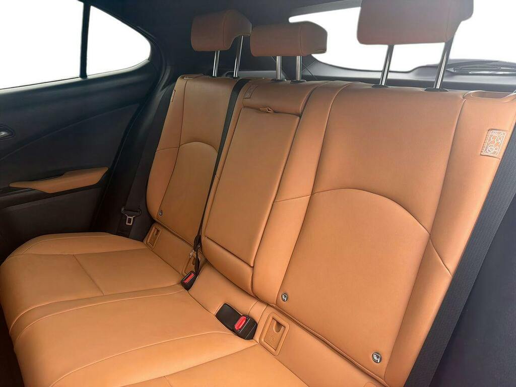 Lexus UX 300E 72.8Kwh Takumi Grey #9