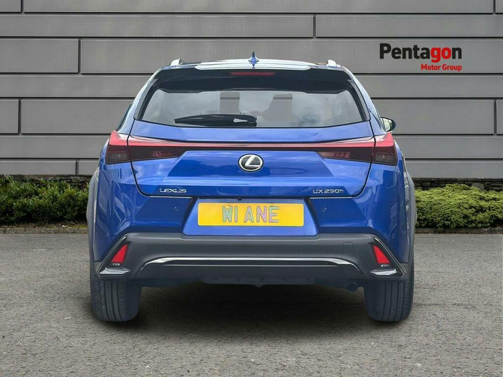 Lexus UX 300E 72.8Kwh Takumi Grey #14