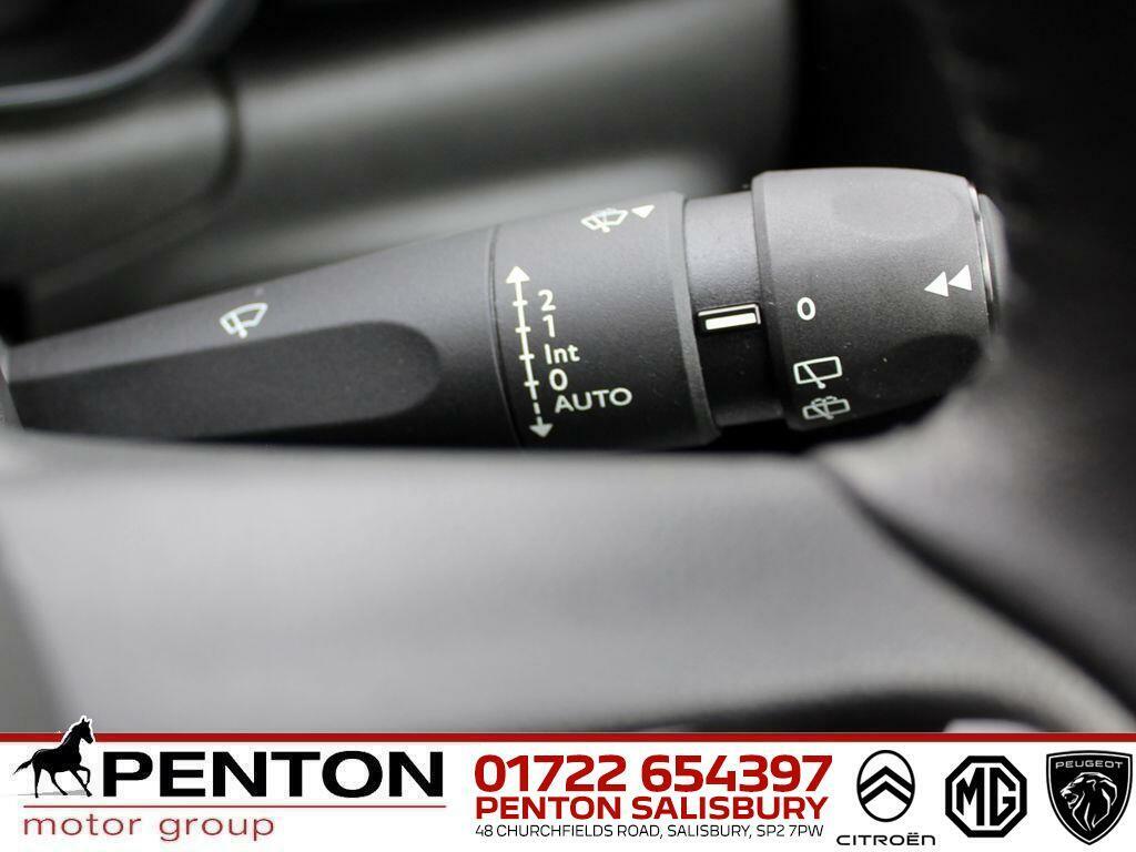 Citroen C3 1.2 Puretech 110 Max Brown #17