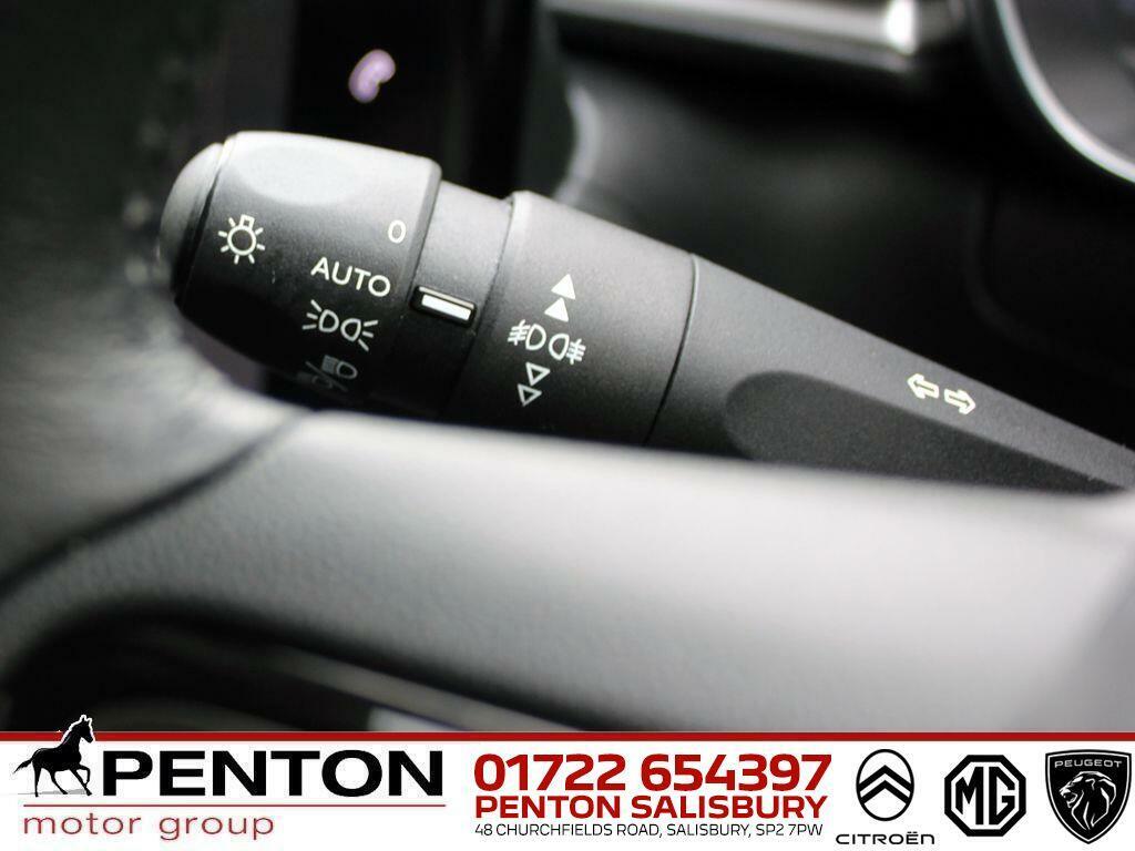Citroen C3 1.2 Puretech 110 Max Brown #15