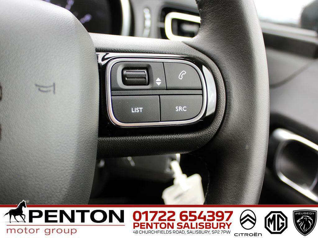 Citroen C3 1.2 Puretech 110 Max Brown #19