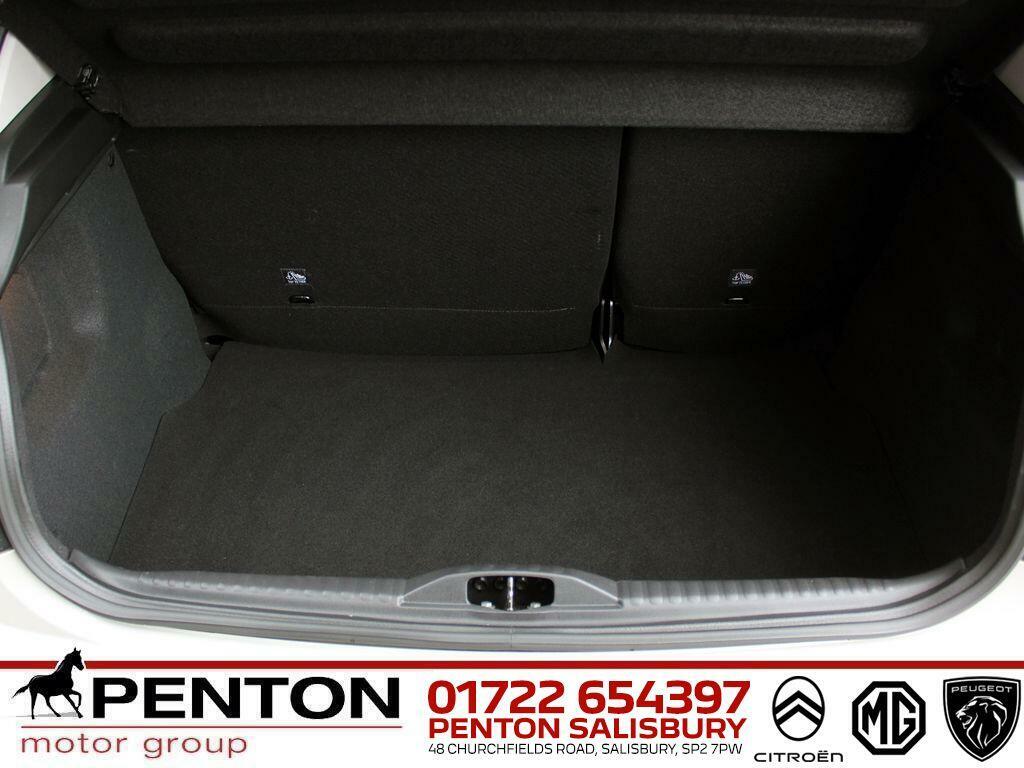 Citroen C3 1.2 Puretech 110 Max Brown #10