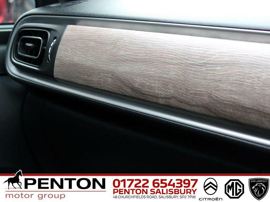 Citroen C3 1.2 Puretech 110 Max Brown #28