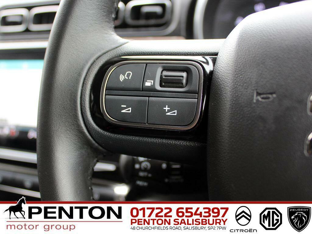 Citroen C3 1.2 Puretech 110 Max Brown #18