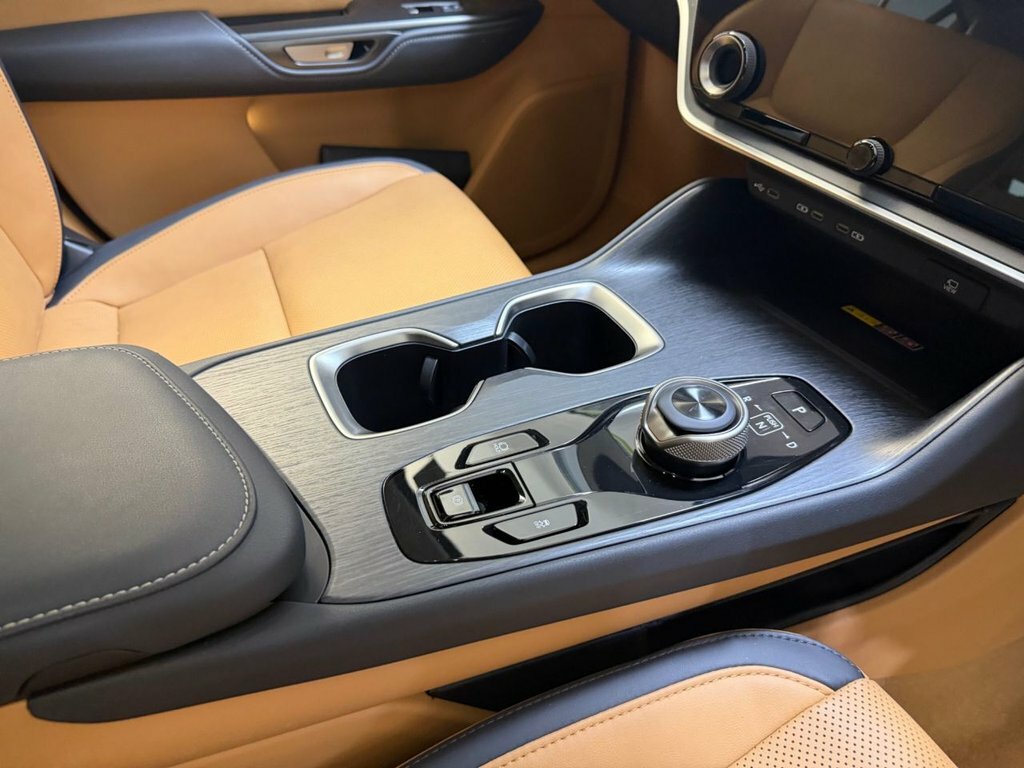 Lexus RZ 450E 71.4Kwh Premium Plus Suv Di Black #25
