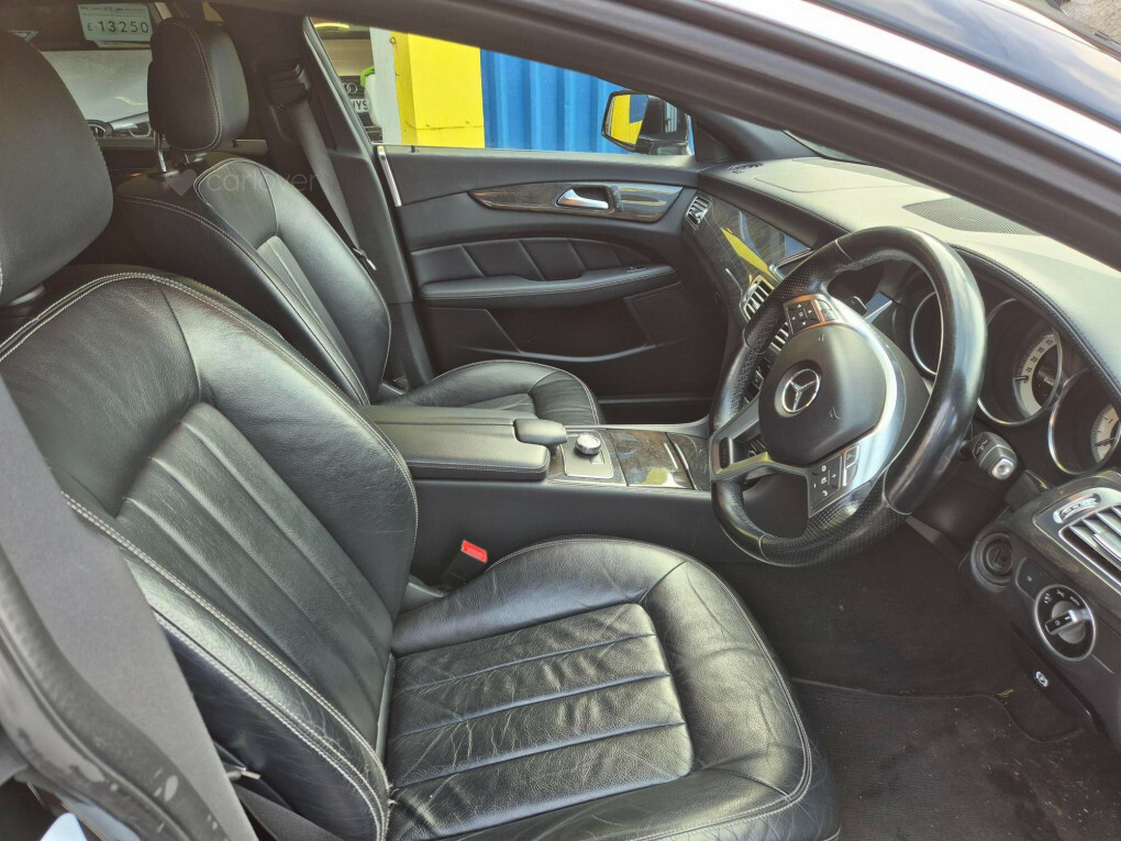Mercedes-Benz CLS Cls250 Cdi Blueefficiency Silver #11
