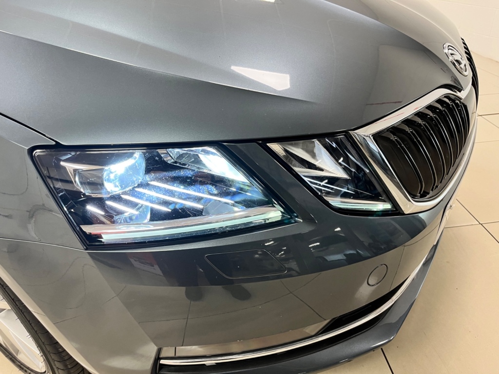 Skoda Octavia Grey #13