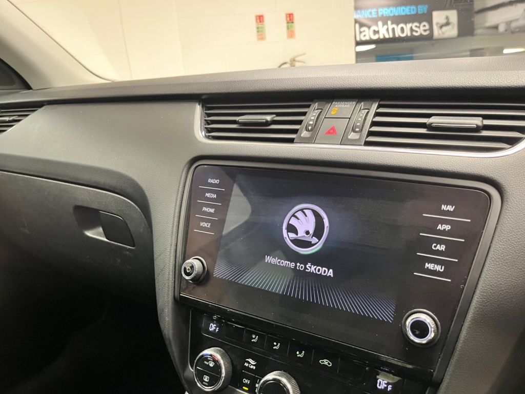 Skoda Octavia Grey #12