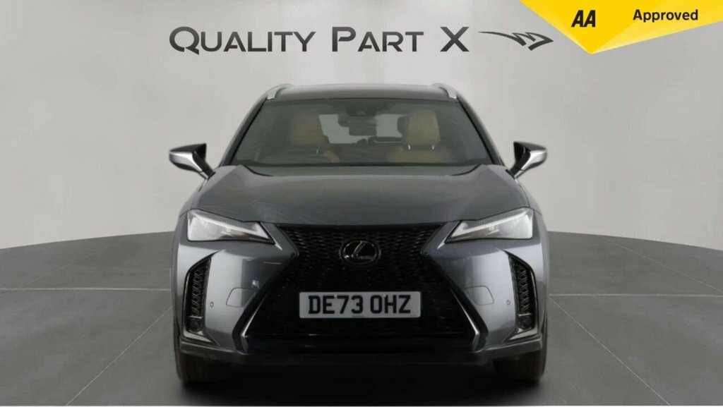 Lexus UX Suv Grey #3
