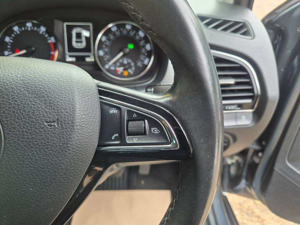 Skoda Fabia Se Blue #19
