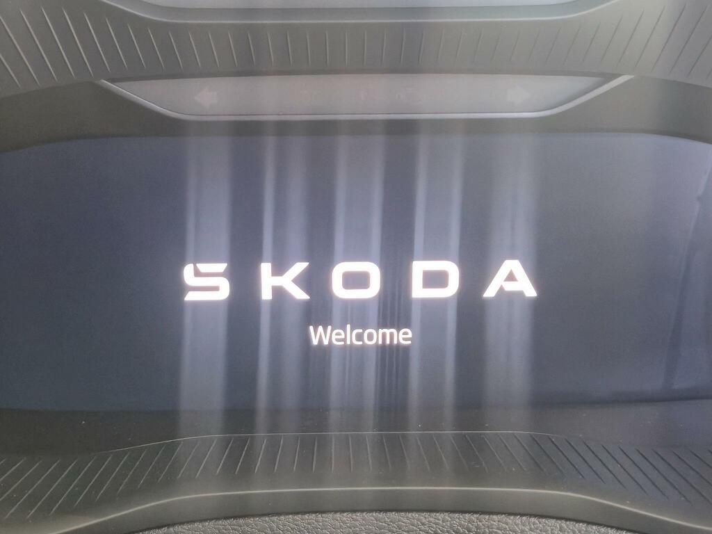 Skoda Karoq Diesel Silver #14