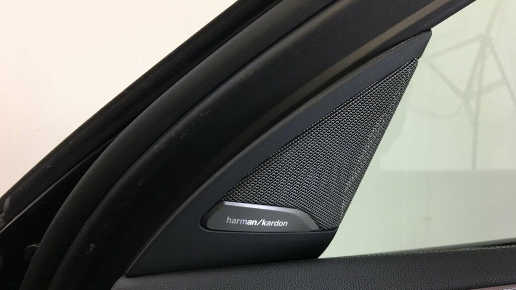 BMW X4 Xdrive20d M Sport Step 2019 Grey #19