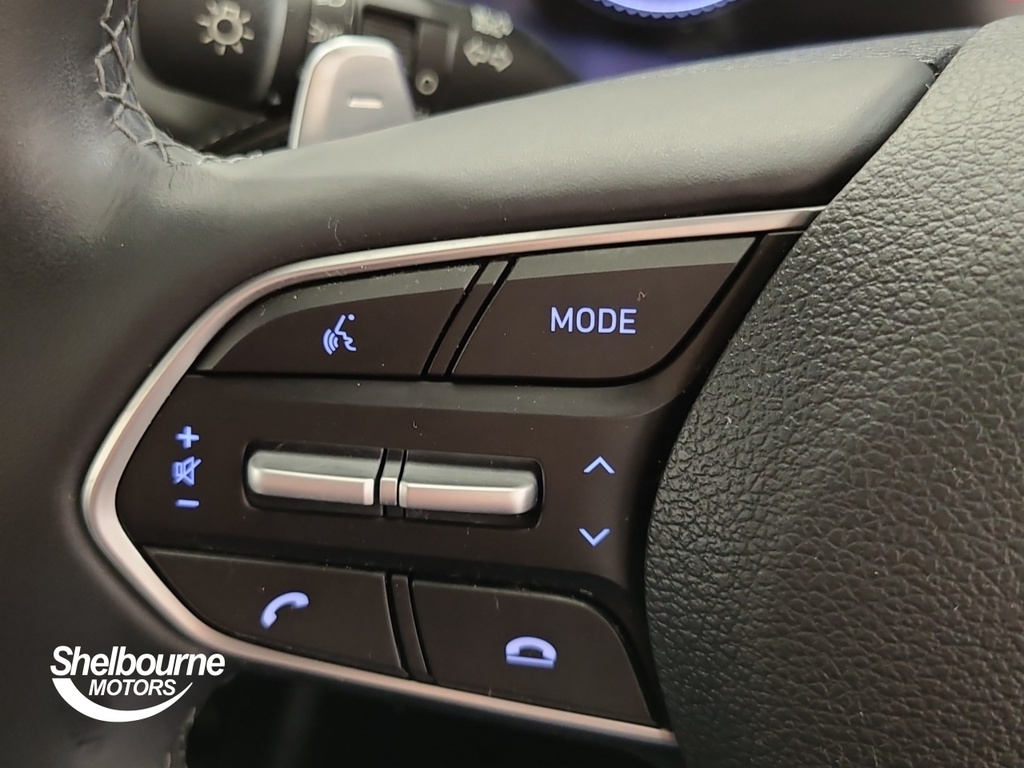 Hyundai Santa Fe Premium Blue #29