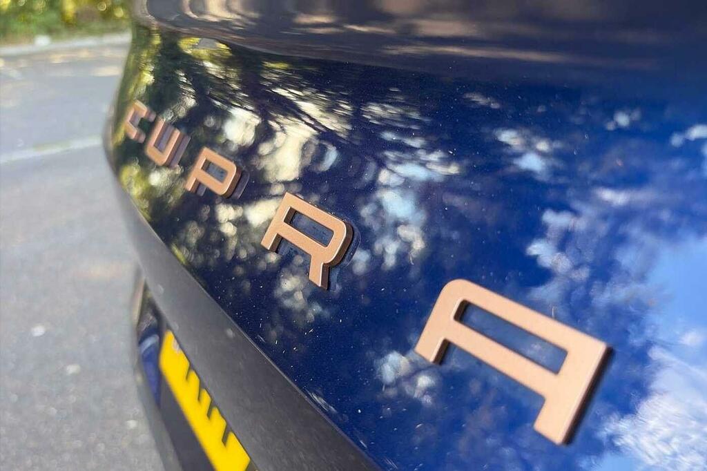 Cupra Terramar Vz2 2.0 Tsi 4-Drive 265 7-Speed Grey #23