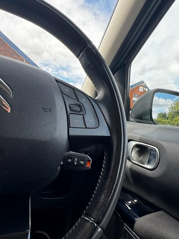 Citroen C4 Cactus Bluehdi Ripcurl Red #15