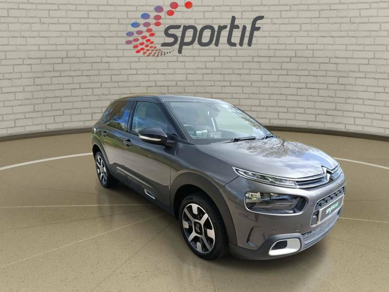 Citroen C4 Cactus Flair Grey #19