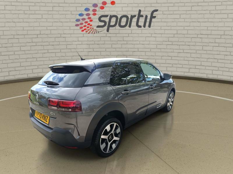 Citroen C4 Cactus Flair Grey #25